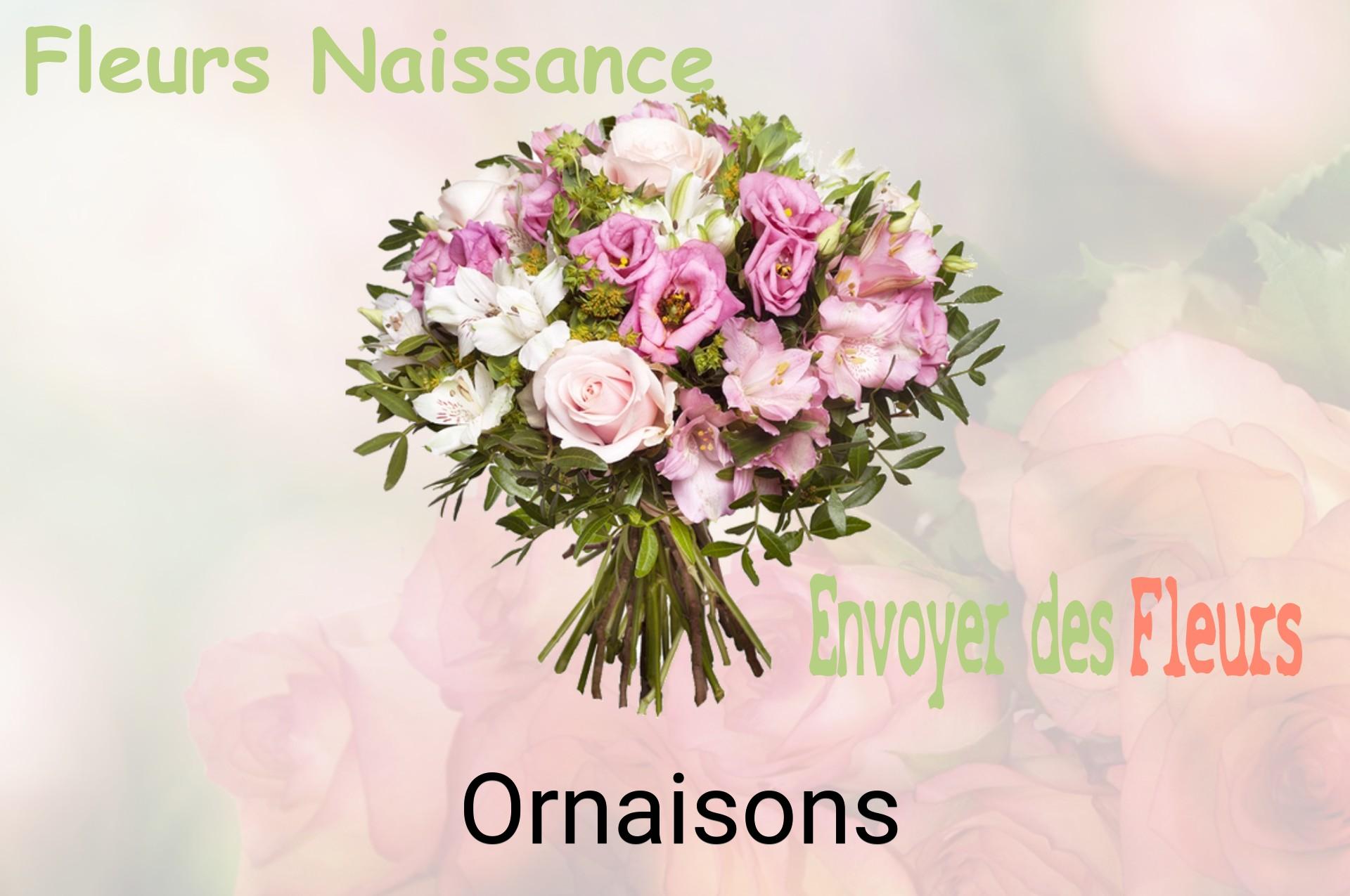 Bouquet de fleurs de naissance livré à Ornaisons